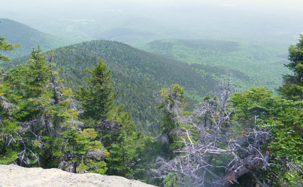 Looking down, you get an amazing sense of how much the ledges have little to nothing below them until the forest floor. Also, more haze. 