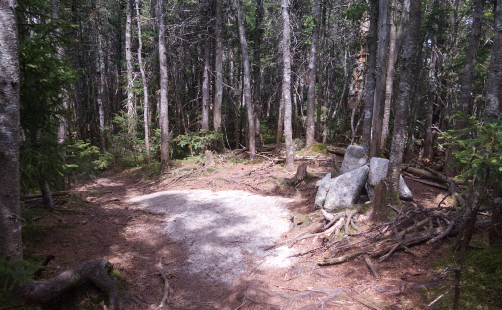 Summit cairn. One of these days, a sign maybe. 