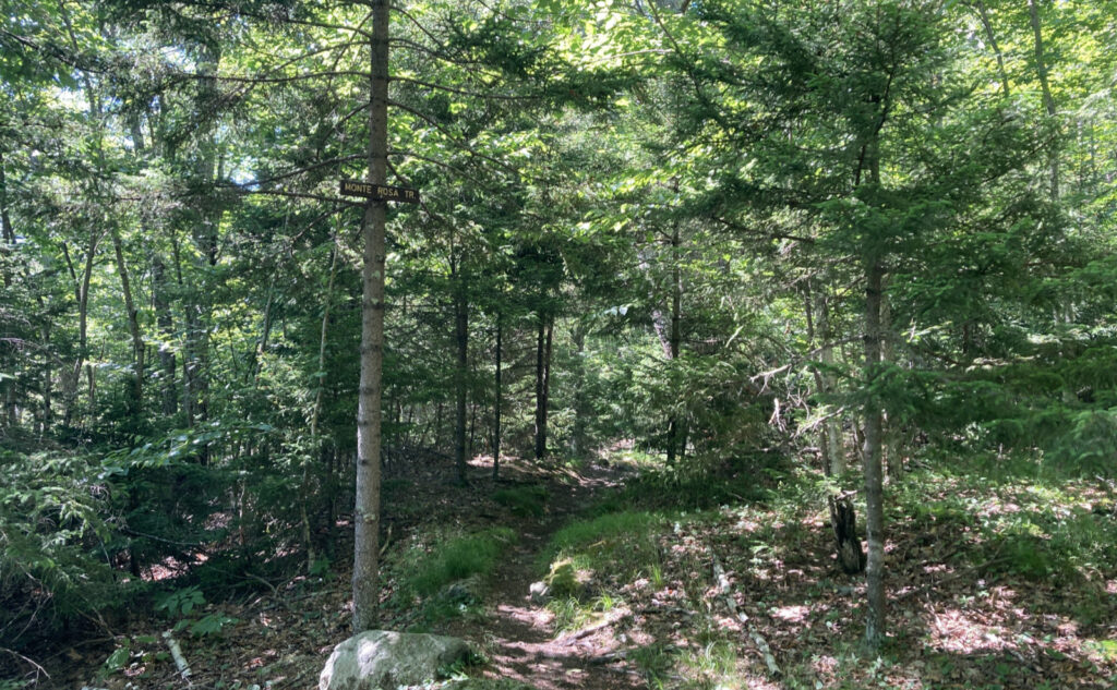 Monte Rosa Trail on Mt Monadnock, New Hampshire. 