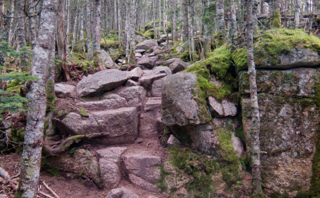 Mt Tom, Field, Willey stone near summit of Mt Tom. 
