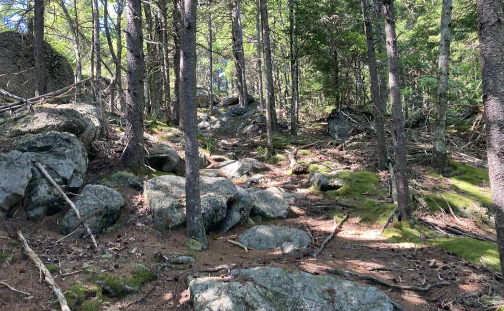 Rocky section of trail, heading up Mt Monadnock, New Hampshire. 