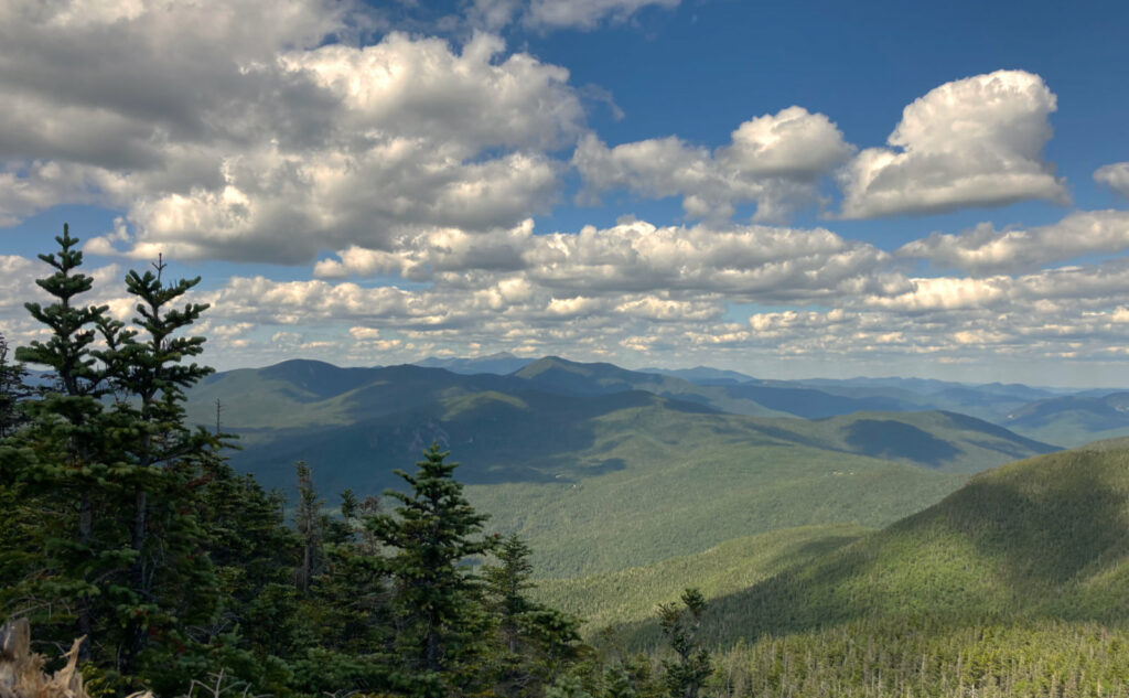 Hiking Osceola Mountain: Looking toward Mt Washington, by way of Mt Carrigain. 