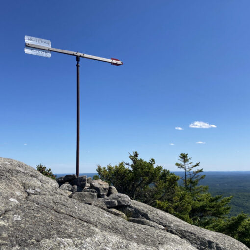 Monte Rosa weathervane