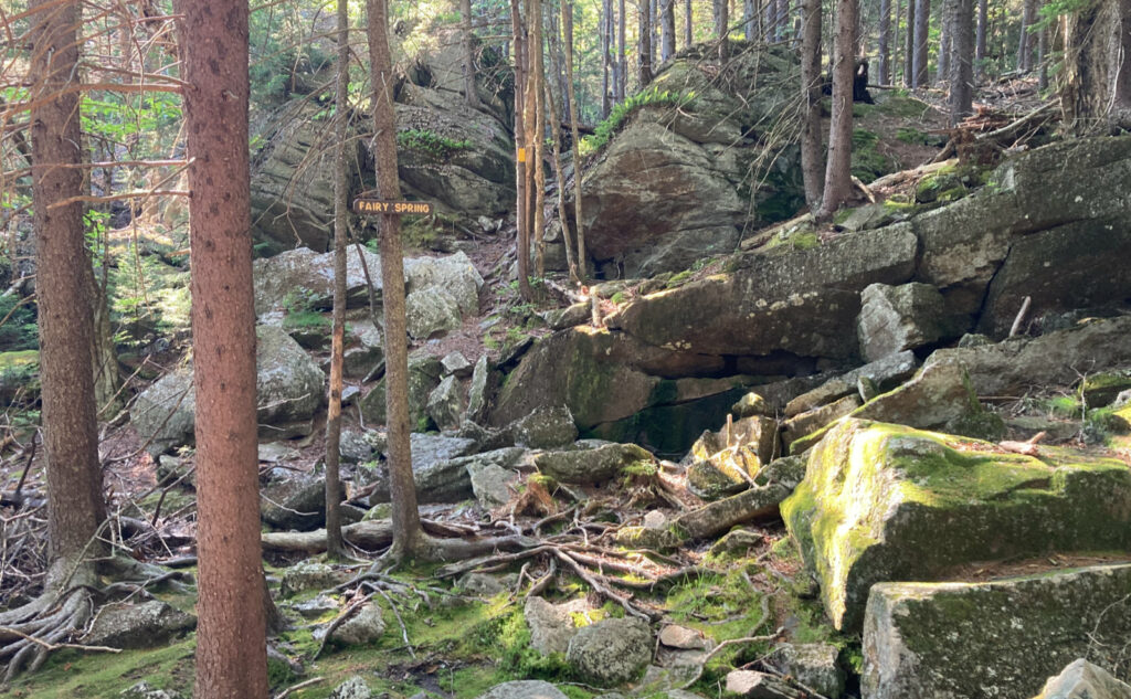 "Fairy Spring" with moss on the ground. Mt Monadnock, New Hampshire. 