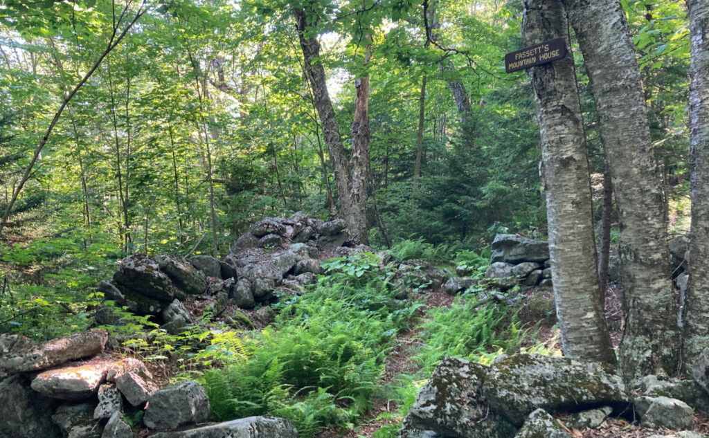 Old foundation of a long-since-dismantled house, overgrown with ferns. Mt Monadnock, New Hampshire. 