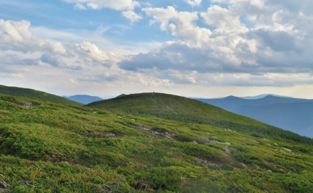 Pemi Loop 2022: The southern hump of Mt Guyot. 