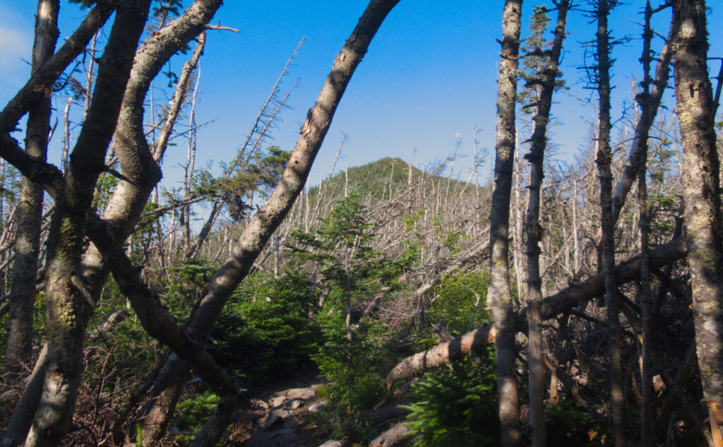 Pemi Loop 2022: West Bond Mountain