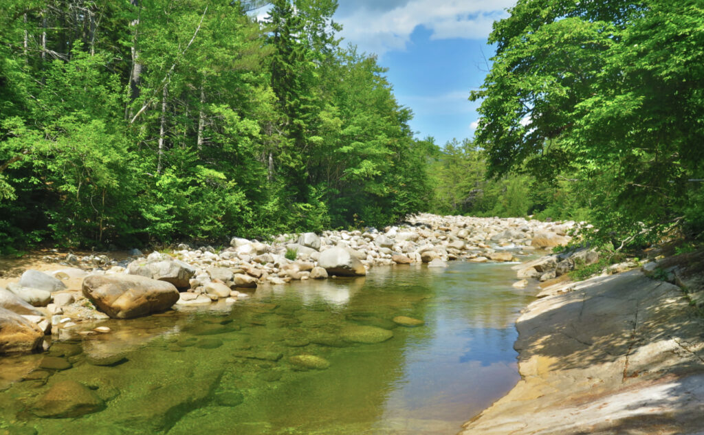 Pemi Loop 2022: Looking up the East Branch of the Pemigewasset River. 