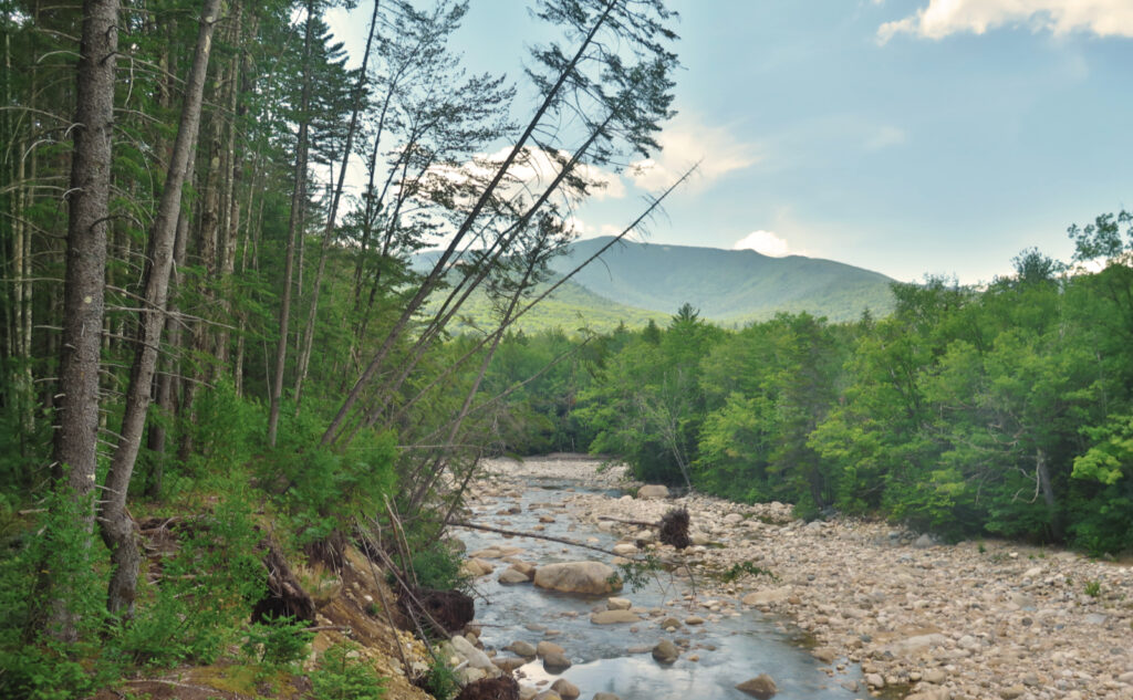 Pemi Loop 2022: Looking toward Franconia Ridge from the east bank of the East Branch of the Pemigewasset river. 