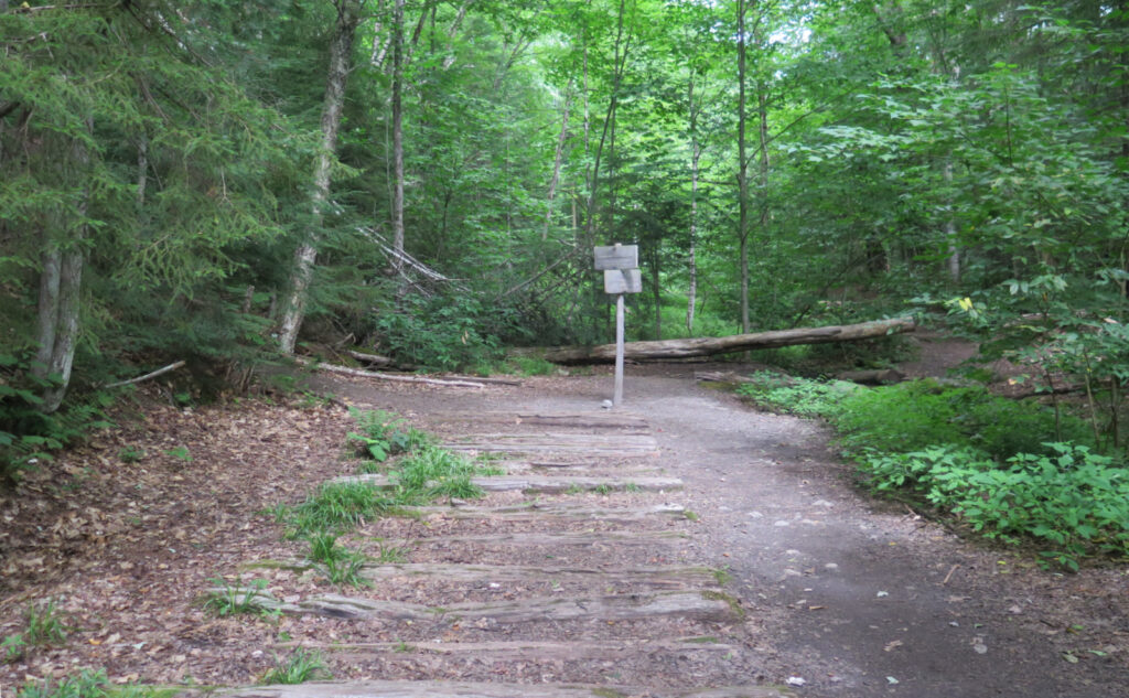 Junction of the Lincoln Woods, Franconia Brook, and Bondcliff trails. 