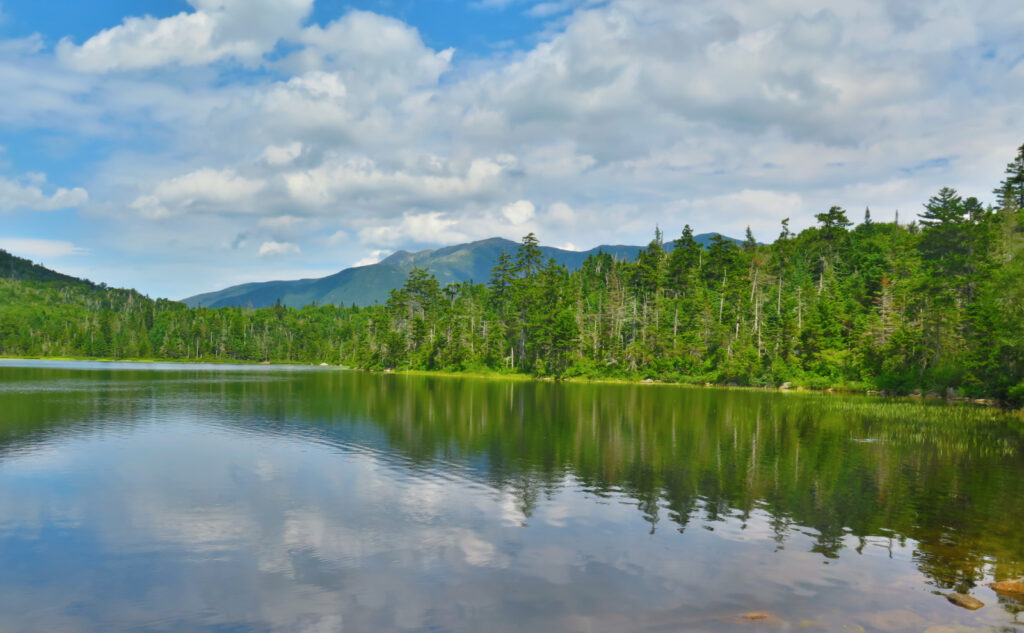 Lonesome Lake, looking toward Franconia Ridge. 