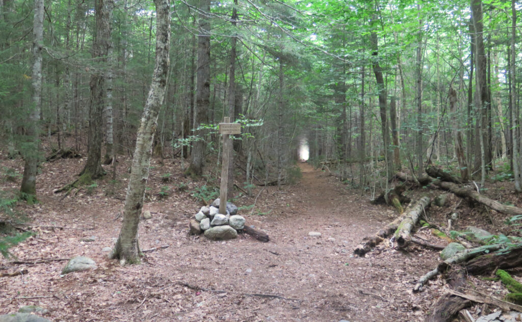 Junction with Lincoln Brook, on the Franconia Brook Trail. 