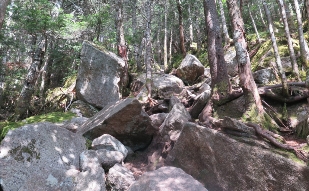 This looks like a pile of rocks, but it's the Kinsman Ridge trail, looking up. 
