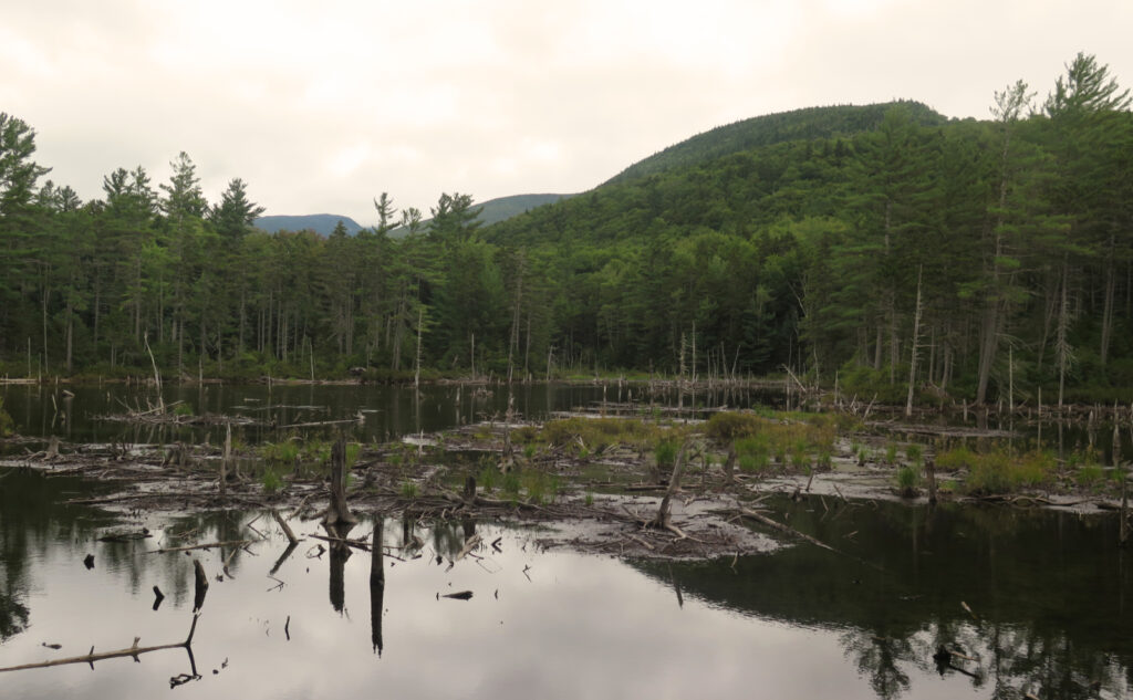 Pond, with the shoulders of the Bond Mountains in the background. 