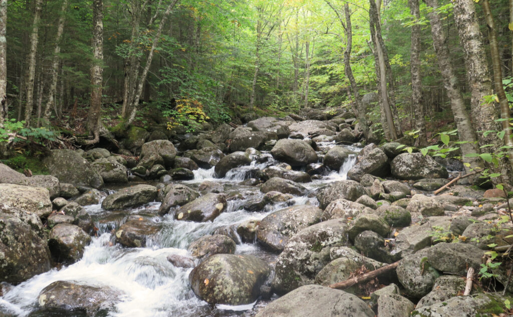 Snyder Brook in Randolph, NH
