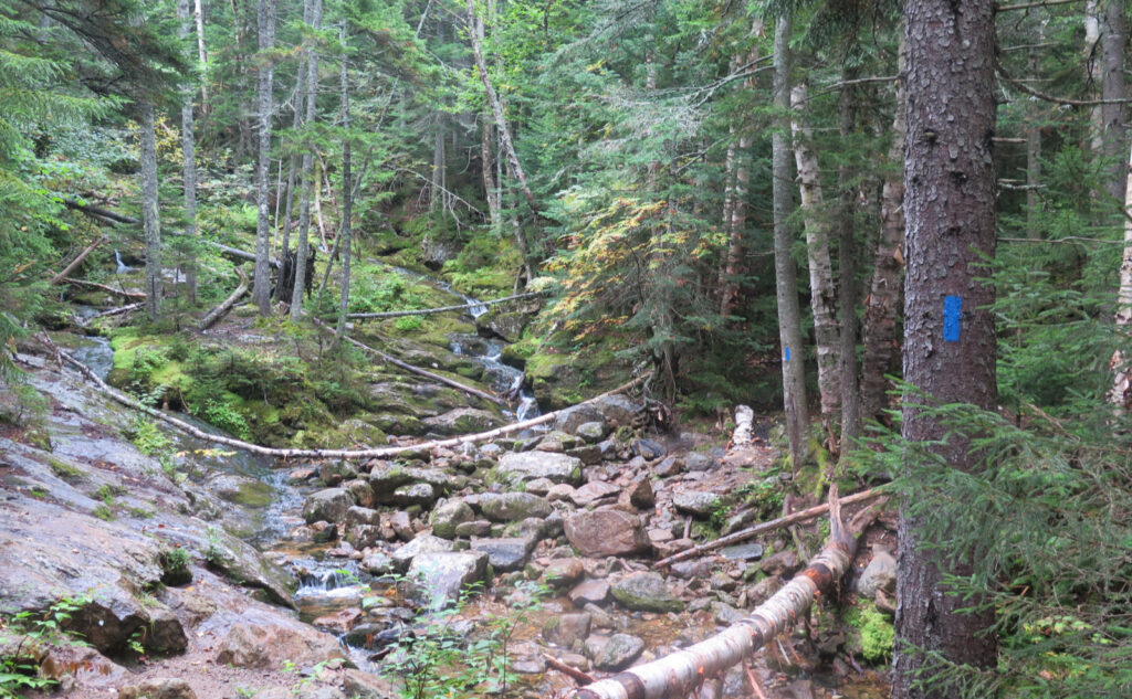 Brook along the 19 Mile Brook Trail, heading up Carter Dome. 