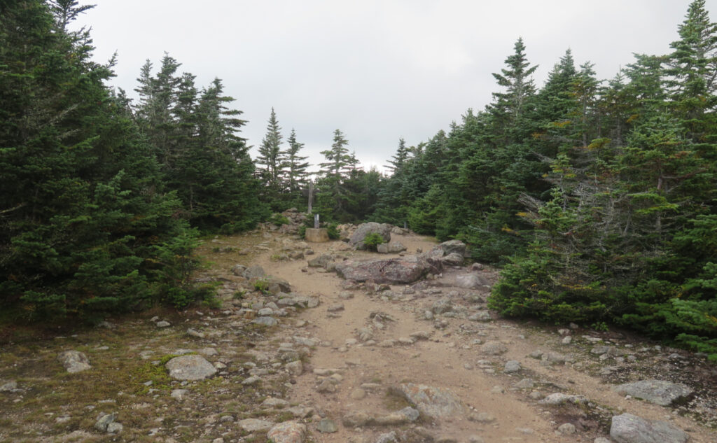 Summit of Carter Dome. 