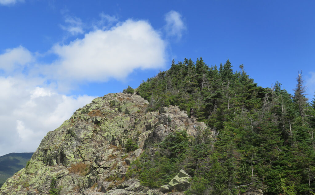 Looking toward the ledges near the summit of Mt Flume. 