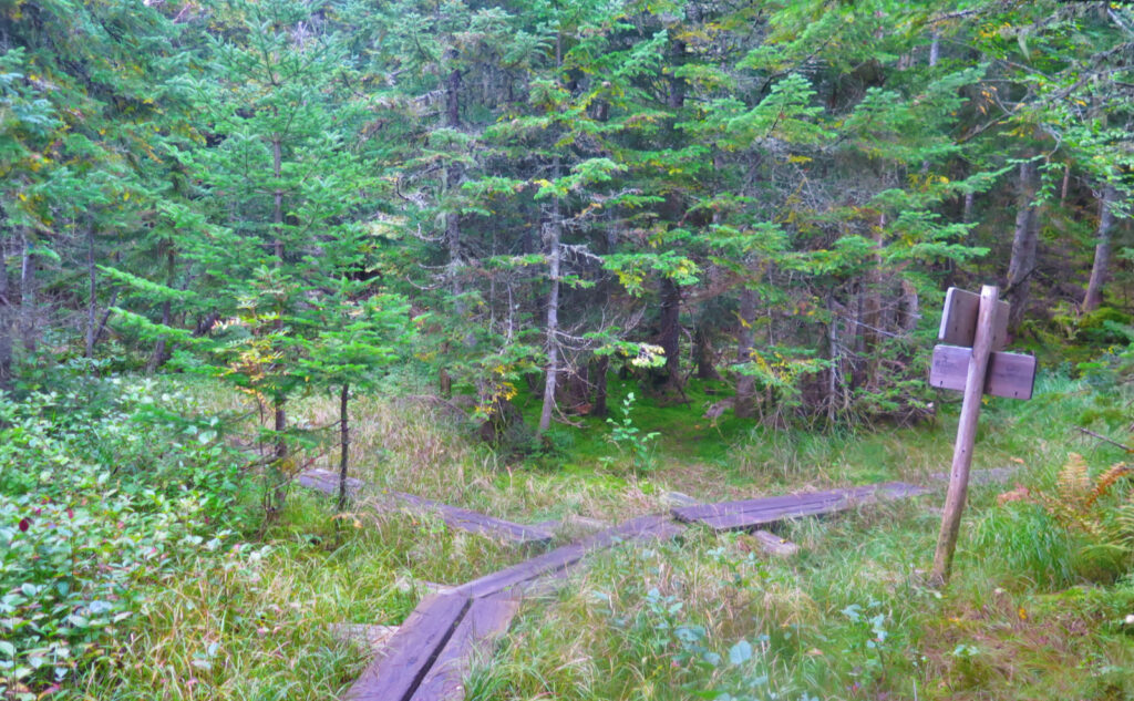 Trail junction with Stony Brook Trail. 