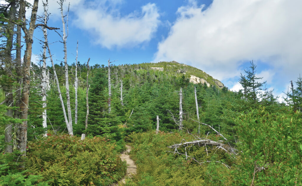 Ledge of North Twin Mountain.