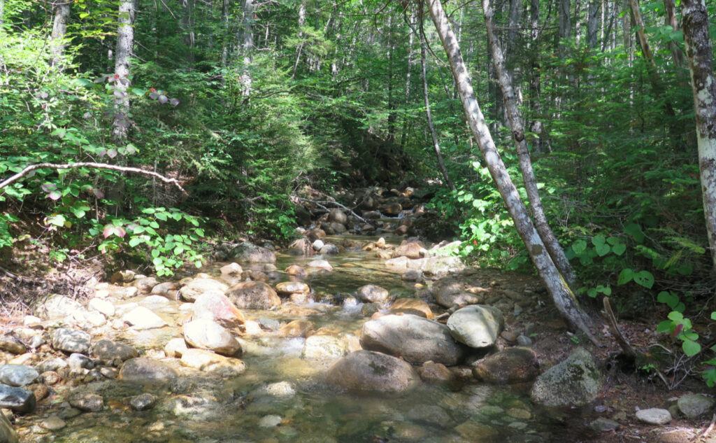 Brook on the Bondcliff Trail. 