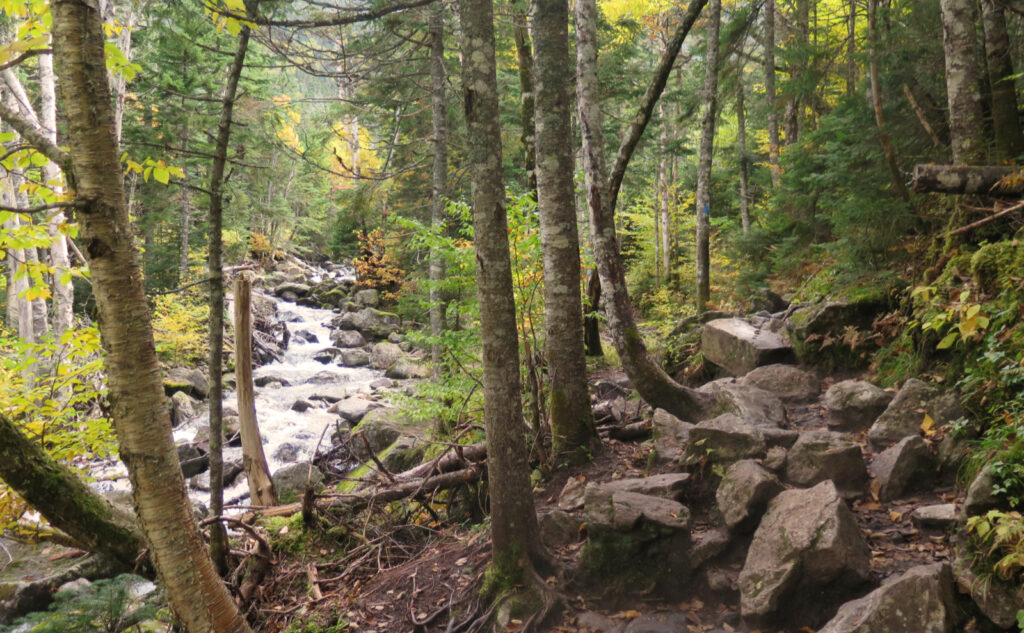 Ammonoosuc Ravine Trail with Ammonoosuc River alongside. 