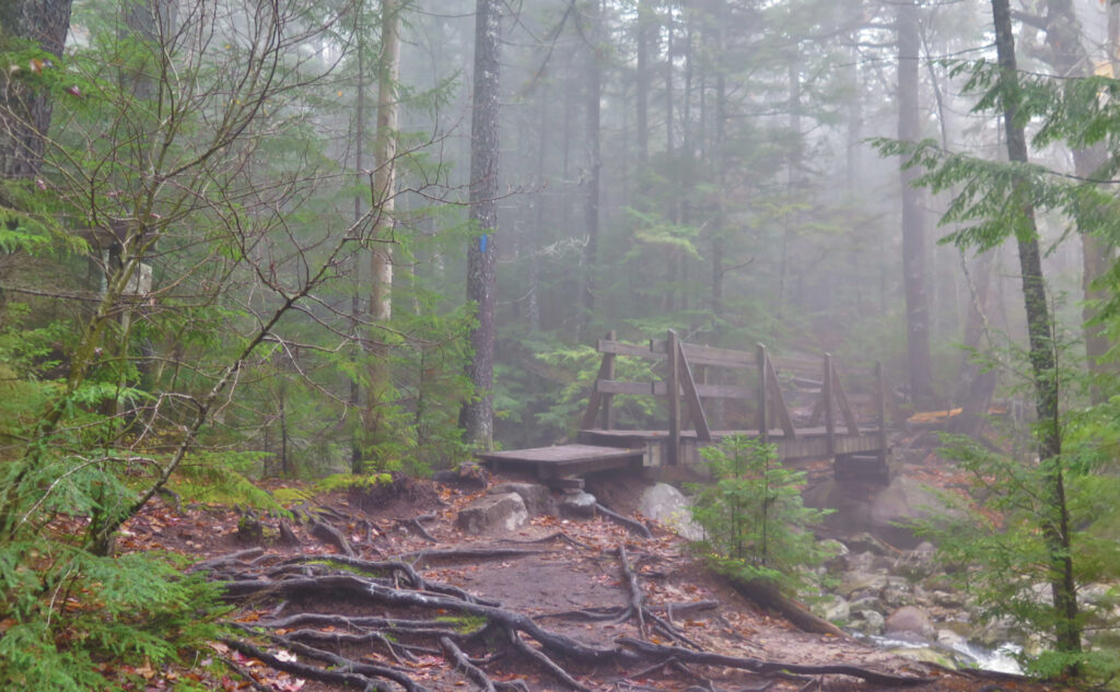 Wooden footbridge heading up Crawford Path on Mt Eisenhower. 