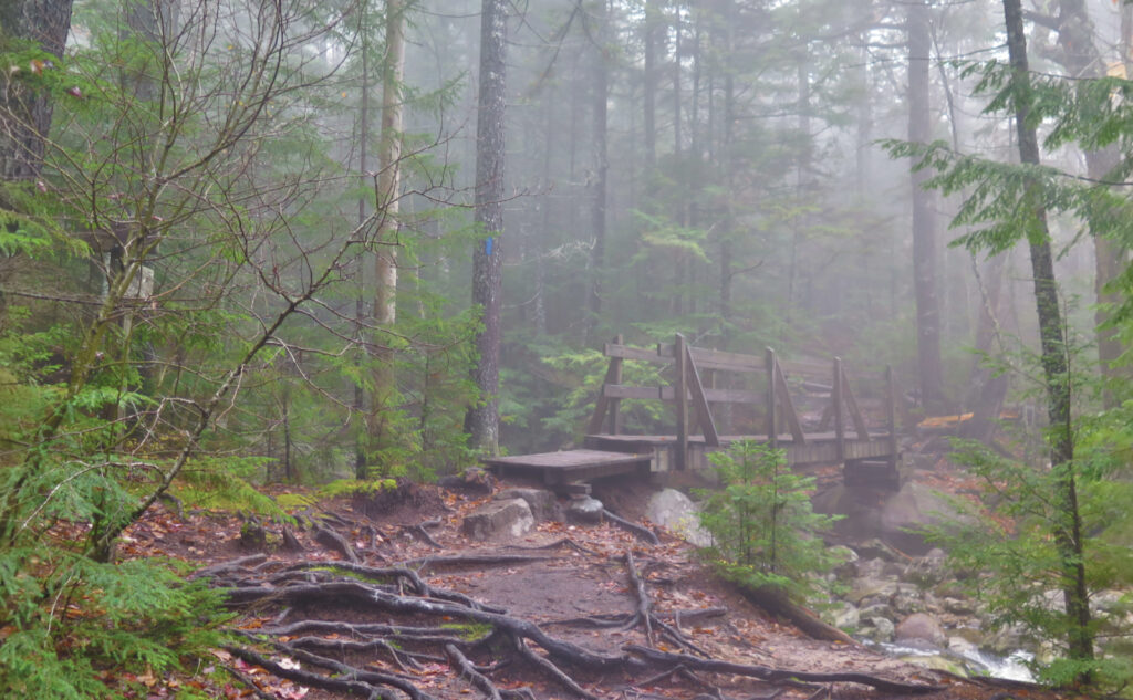 Wooden footbridge heading up Crawford Path on Mt Eisenhower.