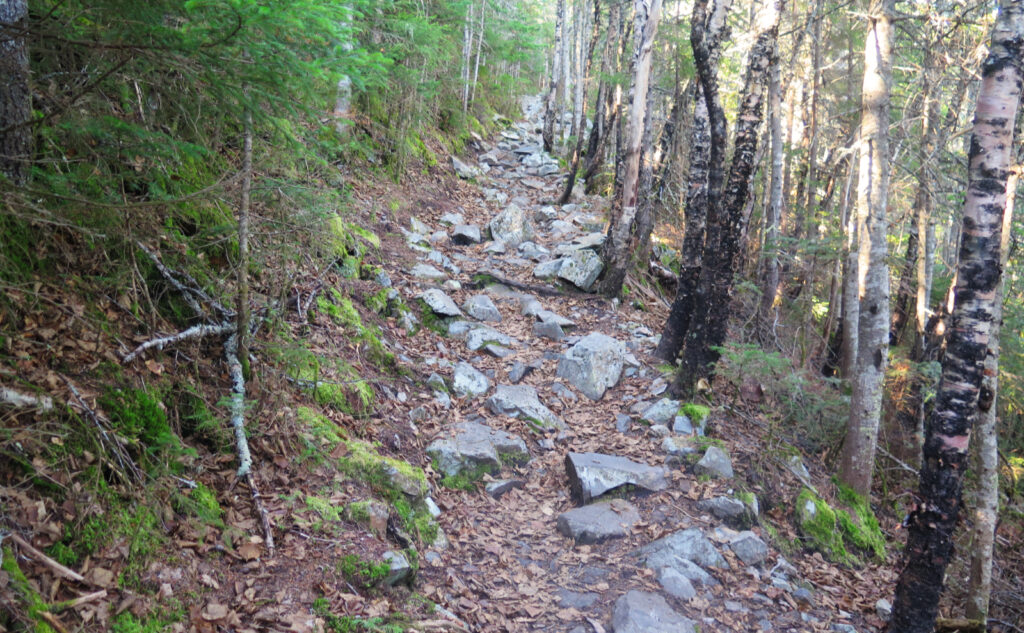 Steep and rocky section of Signal Ridge trail. 