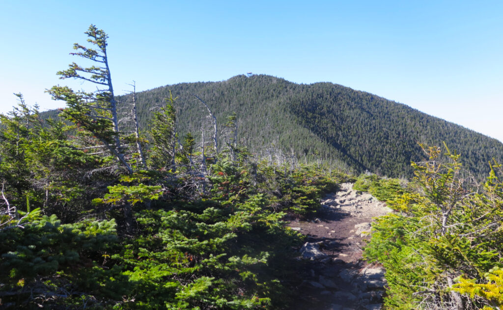 View of the summit of Mt Carrigain from Signal Ridge. 