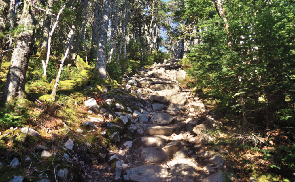 Stone steps leading to Carrigain's summit. 