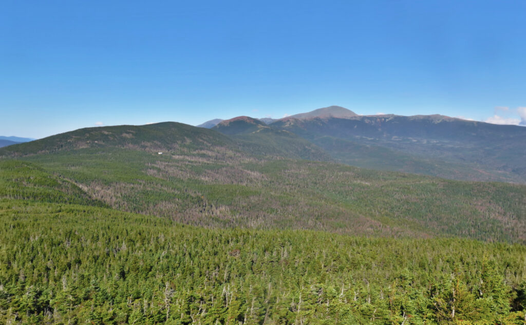 View of Mt Washington from the summit of Mt Jackson. 