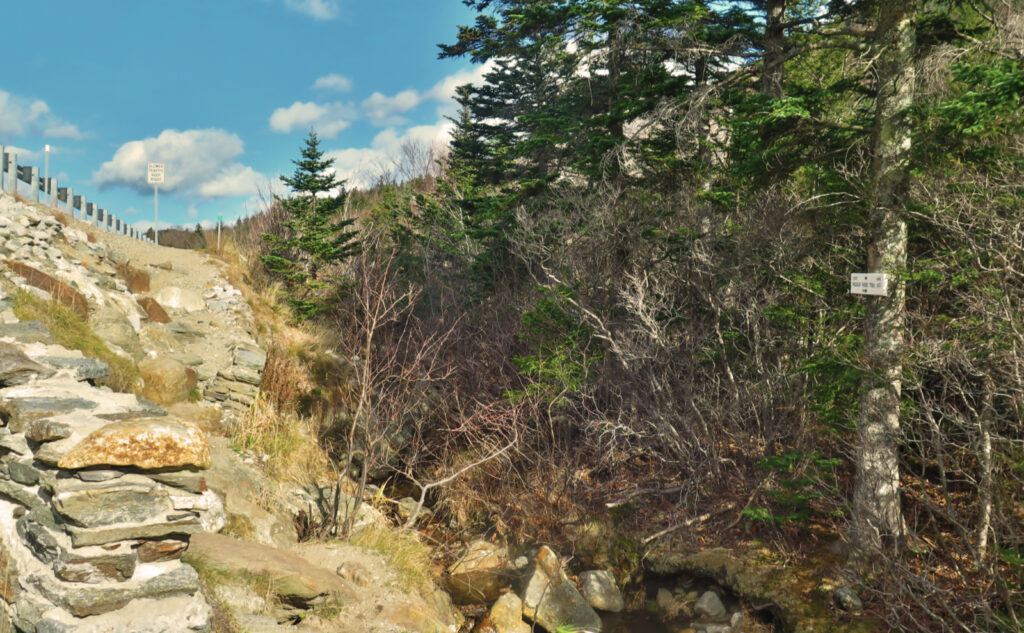 Wildcat Ridge Trailhead, alongside NH Route 16. 