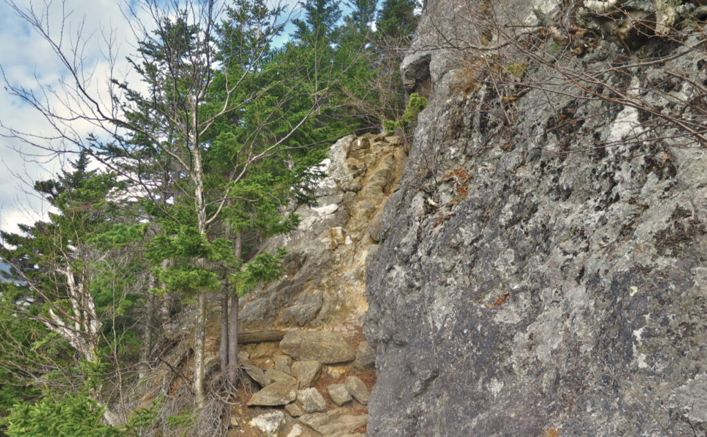 Wildcat Ridge Trail, with a section of rough and steep terrain. 