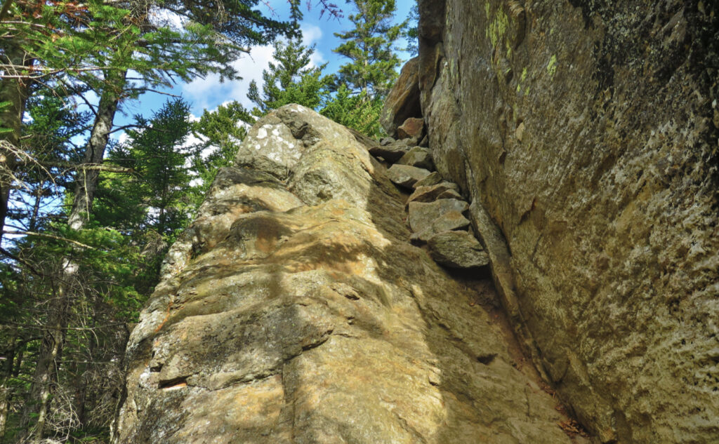 Wildcat Ridge Trail with a section of steep terrain that must be climbed using hands as well as feet. 