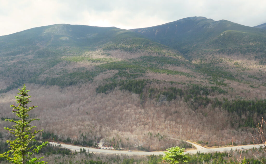 Gulf of Slides on Mt Washington, viewed from Wildcat E's exposed ledges. 