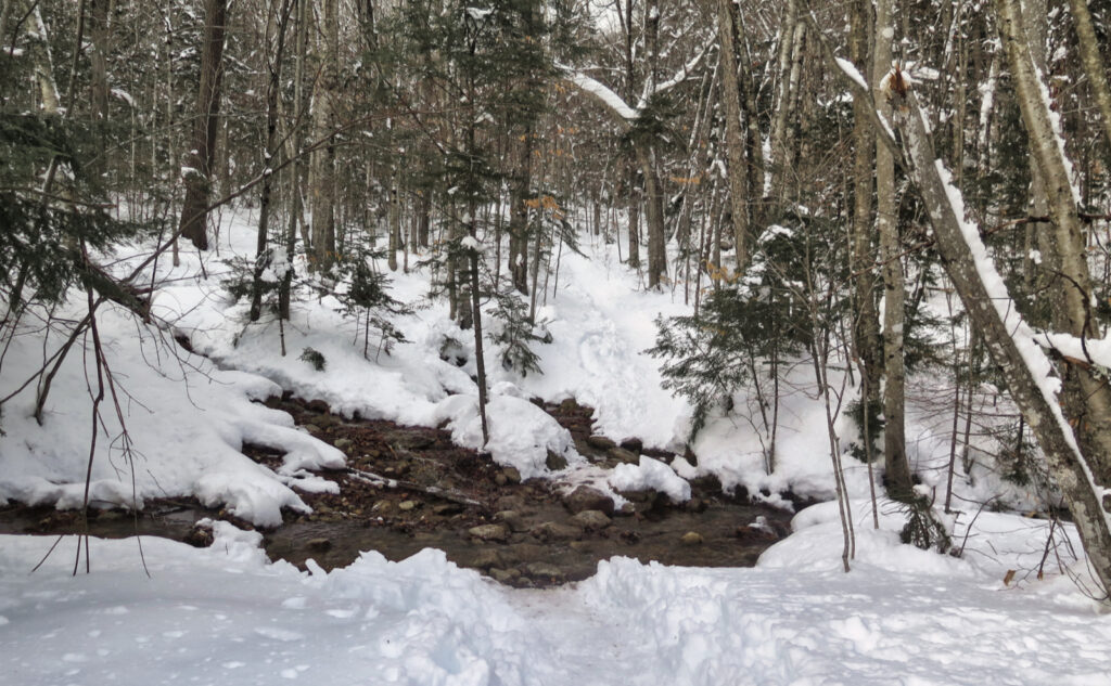 Water crossing near the parking lot on the Mt Tecumseh Trail. 