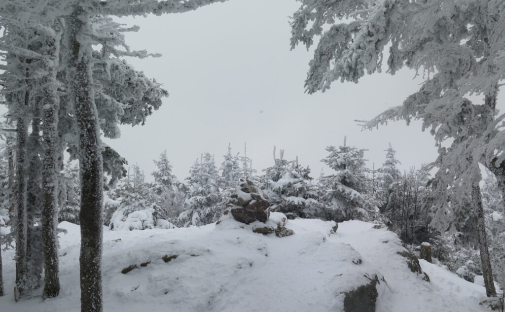 Summit of Mt Tecumseh, in the snow of late autumn. 