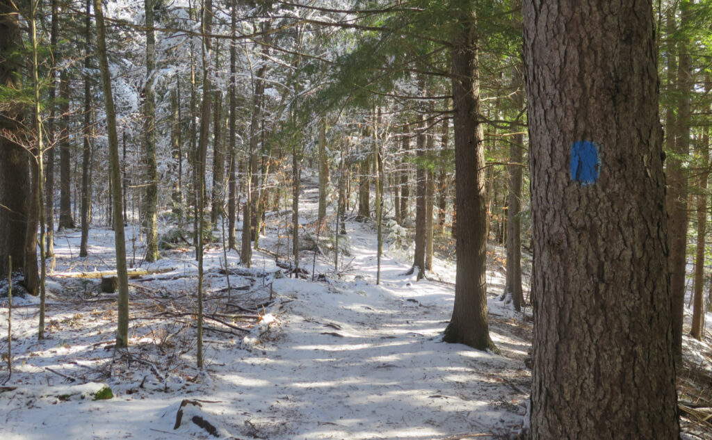 Mt Garfield Trail. 