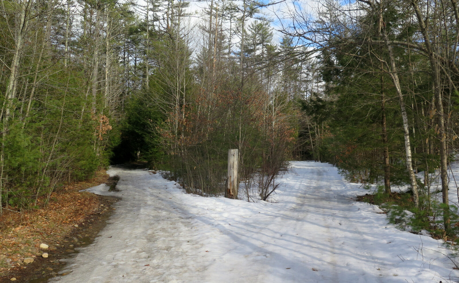 専用brook Brown)Brook Short Mountain Parka Marmot Women's Strollbridge Hooded Short Down Coat - Macy's