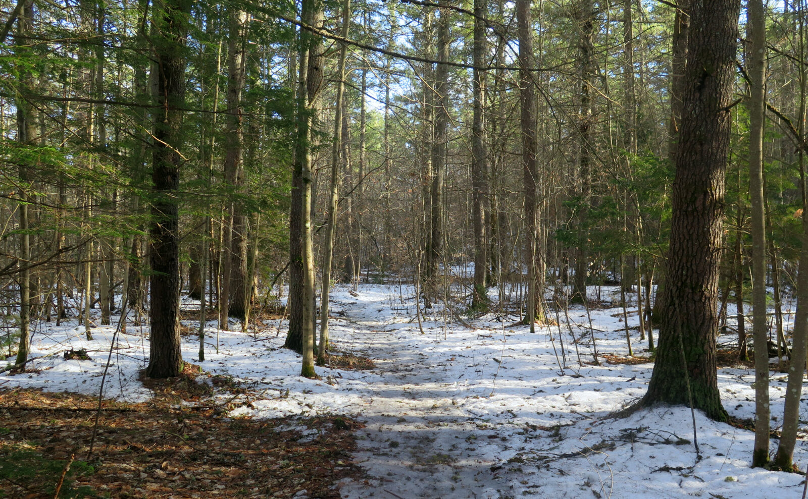 Trip Report: Bear Brook isn't a mountain. Is that enough