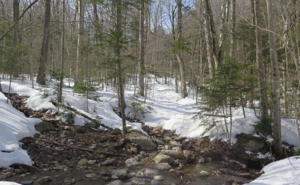 Near the trailhead of Mt Tecumseh Trail, Waterville Valley, NH.