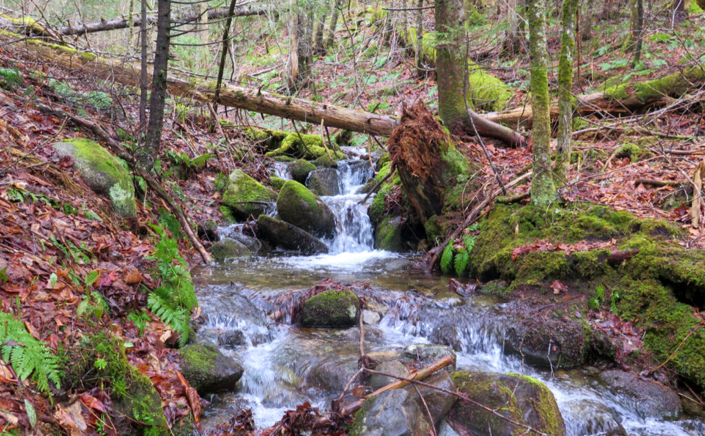 Brook draining Mt Moosilauke, Benton, NH. 