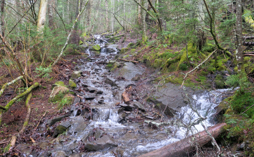 Water cascading down the Glencliff trail on Mt Moosilauke, Benton, NH.