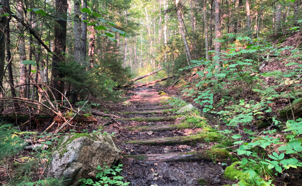 Old railway sleepers. 
Pemigewasset Wilderness, east side, White Mountains, New Hampshire. 