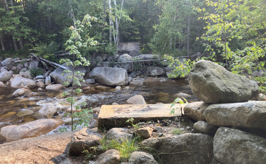 Pemigewasset Wilderness, east side, White Mountains, New Hampshire. 