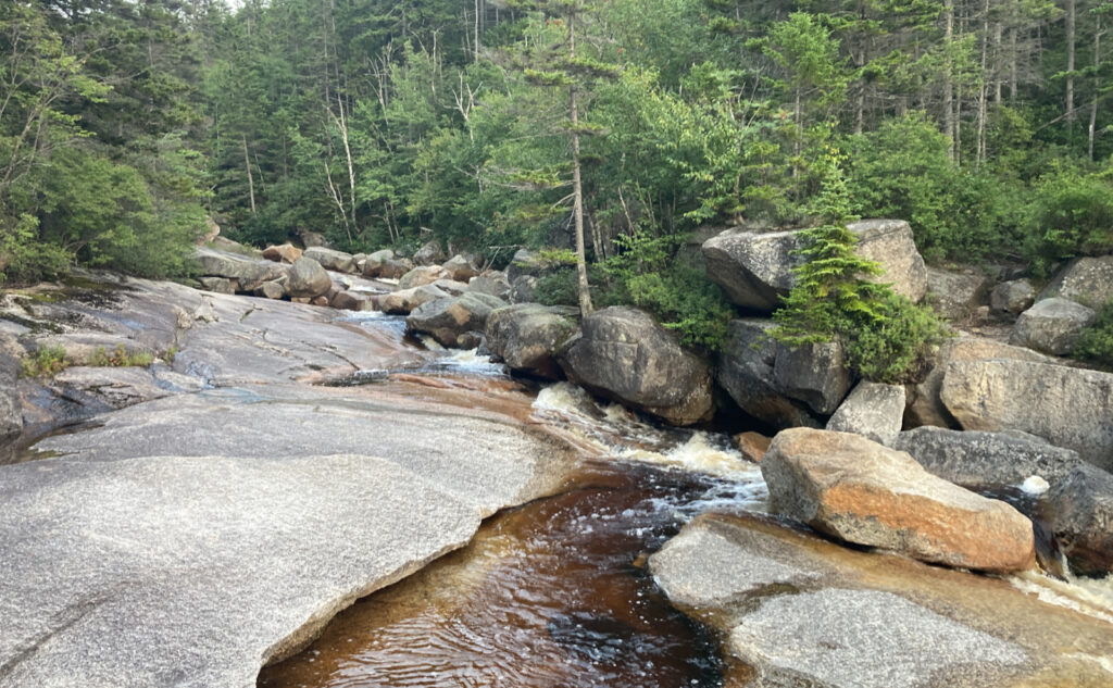 Pemigewasset Wilderness, east side, White Mountains, New Hampshire. 