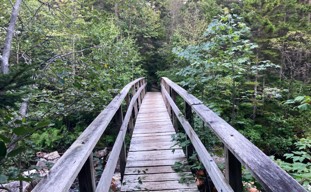 Footbridge near Thoreau Falls. 
Pemigewasset Wilderness, east side, White Mountains, New Hampshire. 