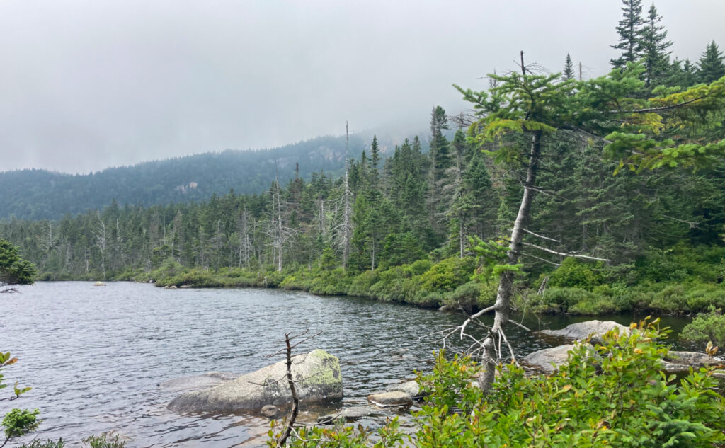 Ethan Pond. Pemigewasset Wilderness, east side, White Mountains, New Hampshire. 