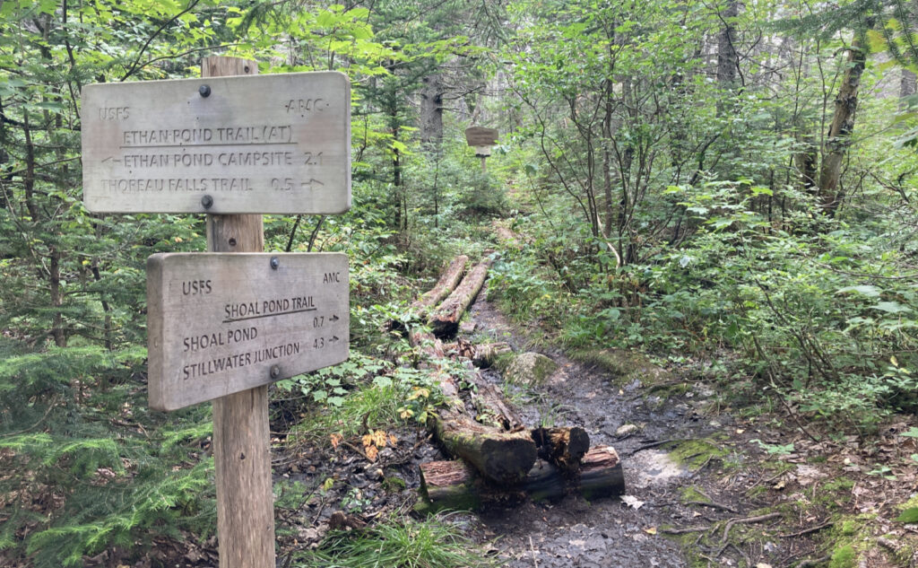 Northern trailhead for the Shoal Pond trail. 
Pemigewasset Wilderness, east side, White Mountains, New Hampshire. 